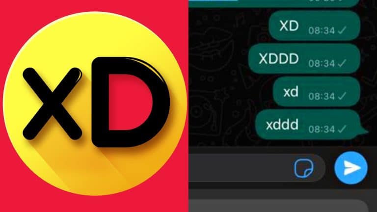 descubre el significado de xd en roblox y como usarlo correctamente